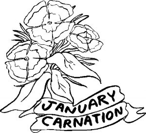 01-january-carnation-1
