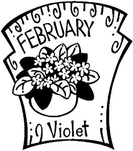 02-february-violet-2