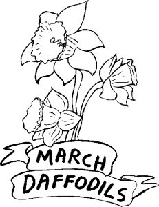 03-march-daffodils