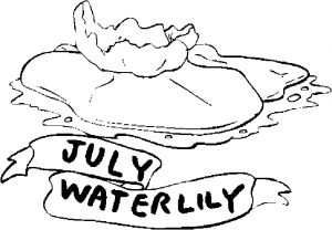 07-july-water-lily