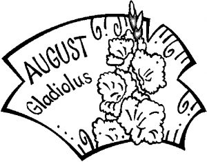 08-august-gladiolus-1