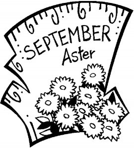 09-september-aster-2