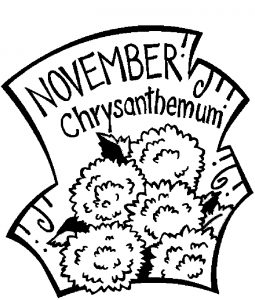 11-november-chrysanthemum-2