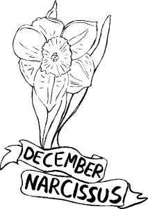 12-december-narcissus-1