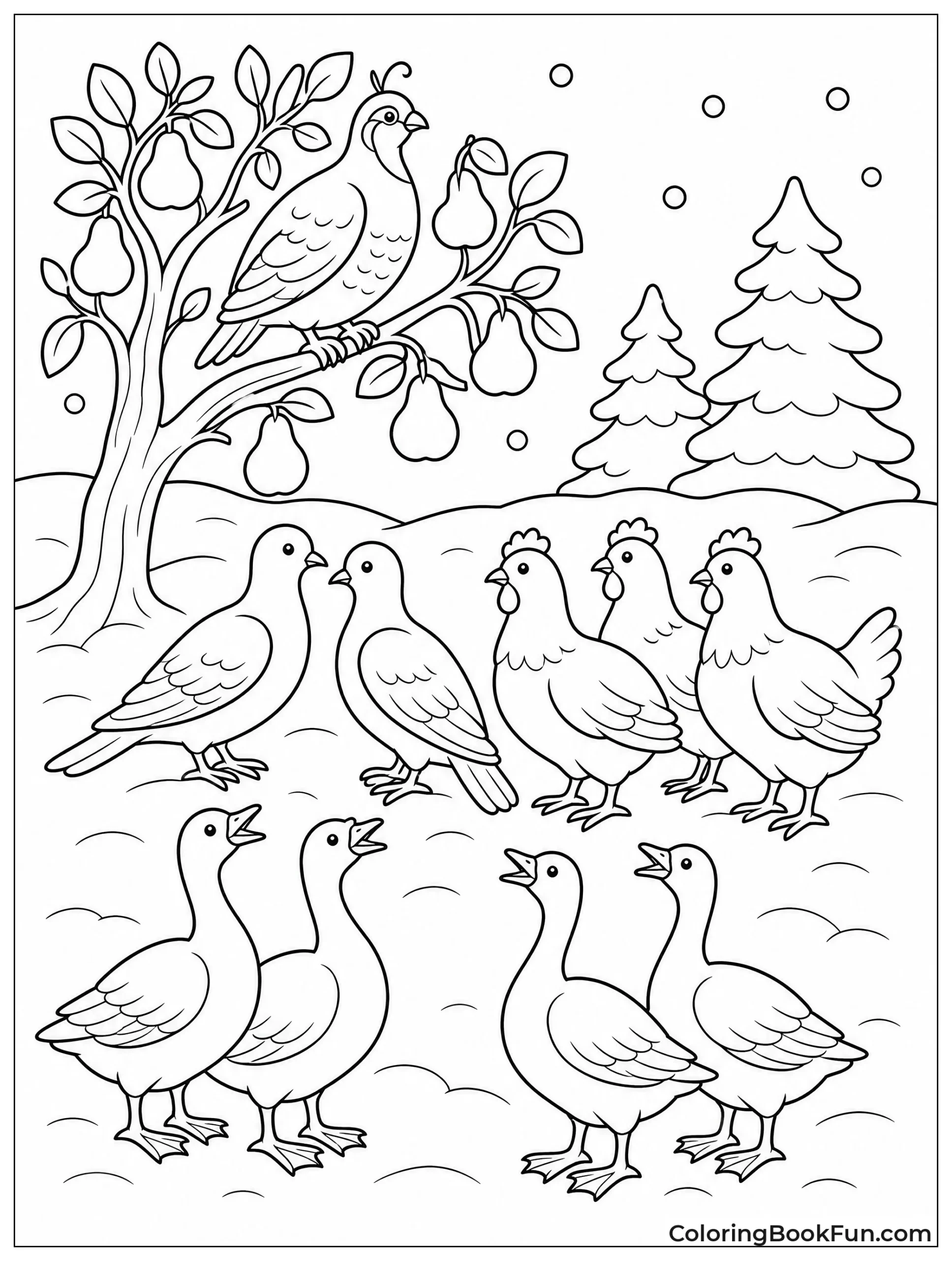 Birds Gathered in Snowy Field