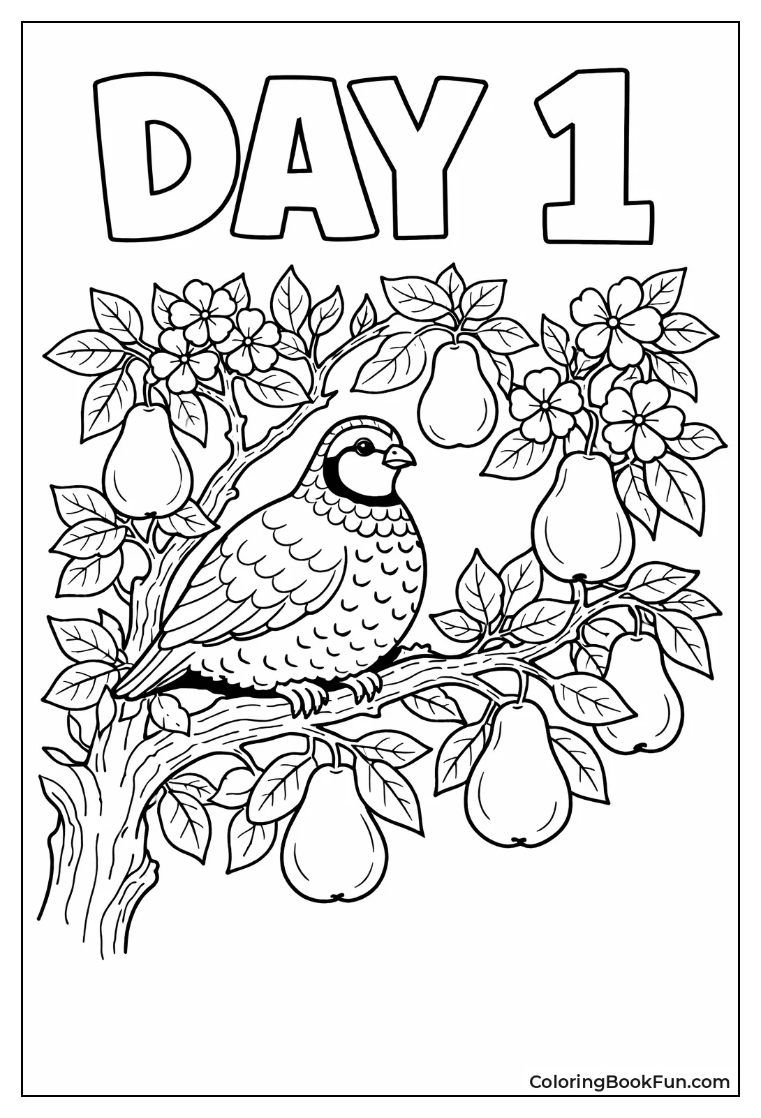 Partridge Perched in Pear Tree