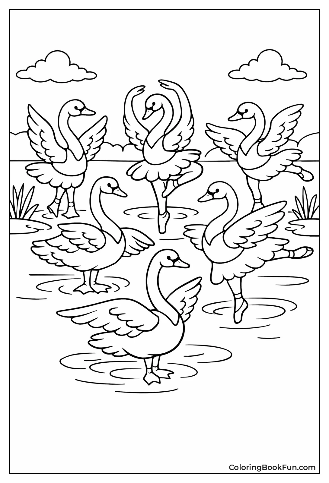 Swans Dancing on Lake