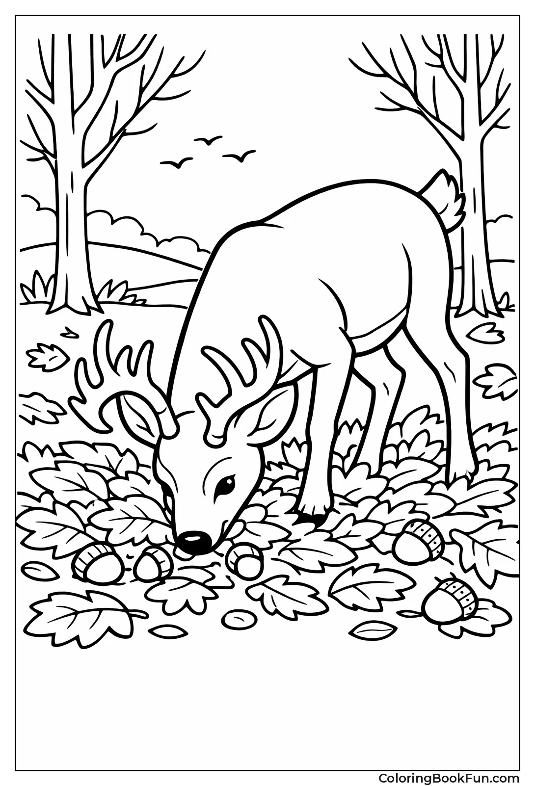 Deer Forages Fall Acorns