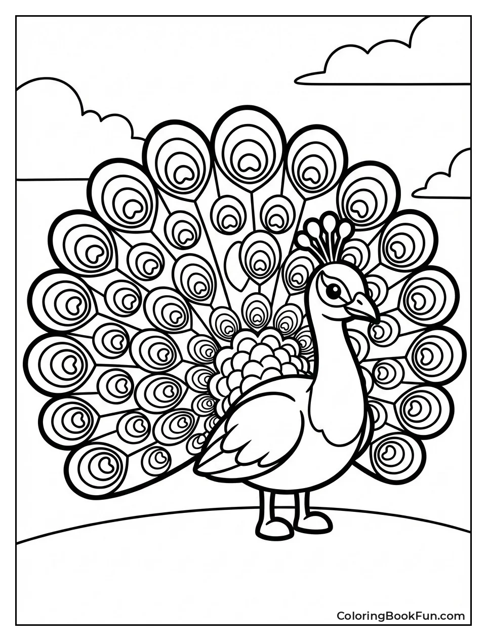 Peacock Feather Display