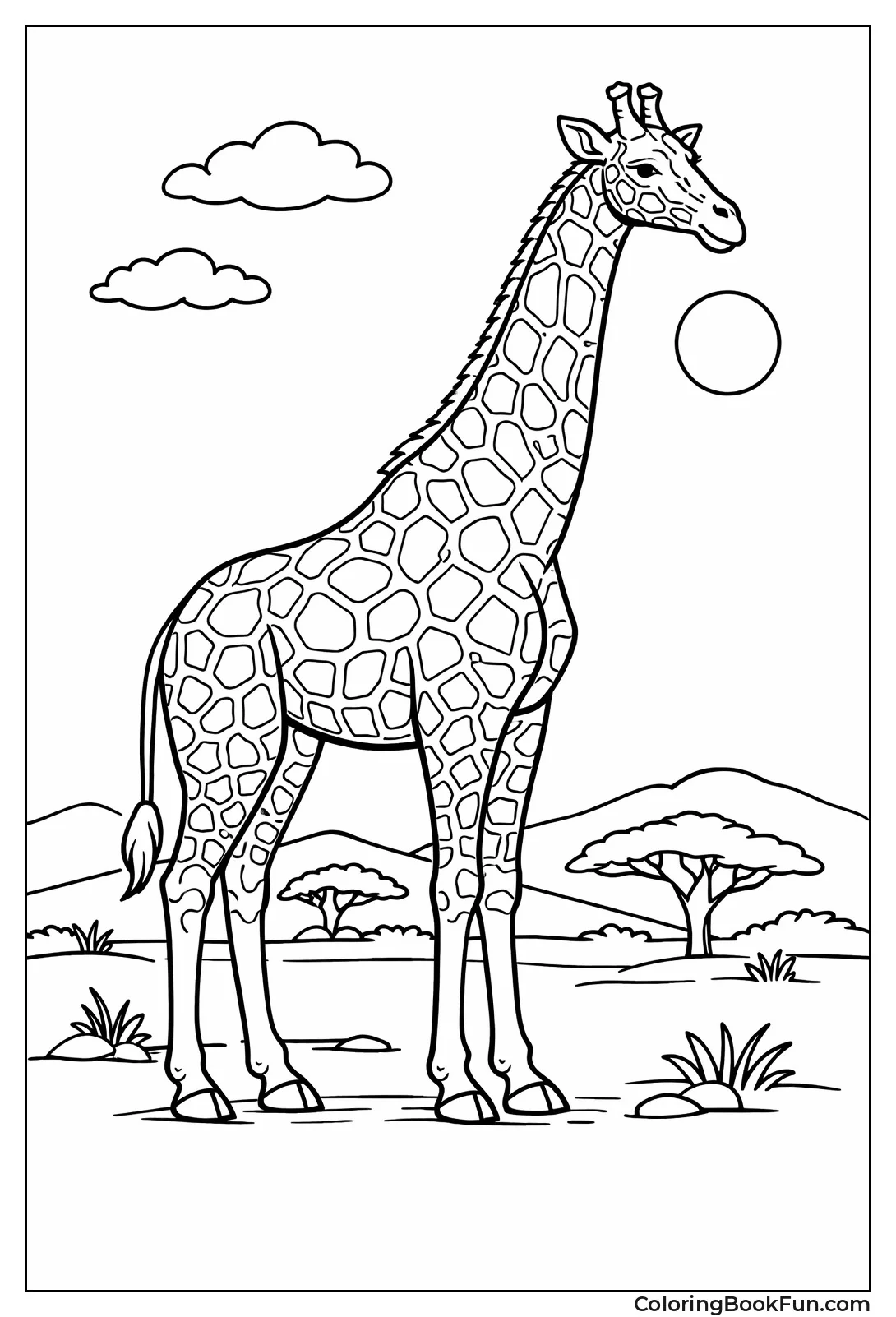 Detailed Adult Giraffe Portrait