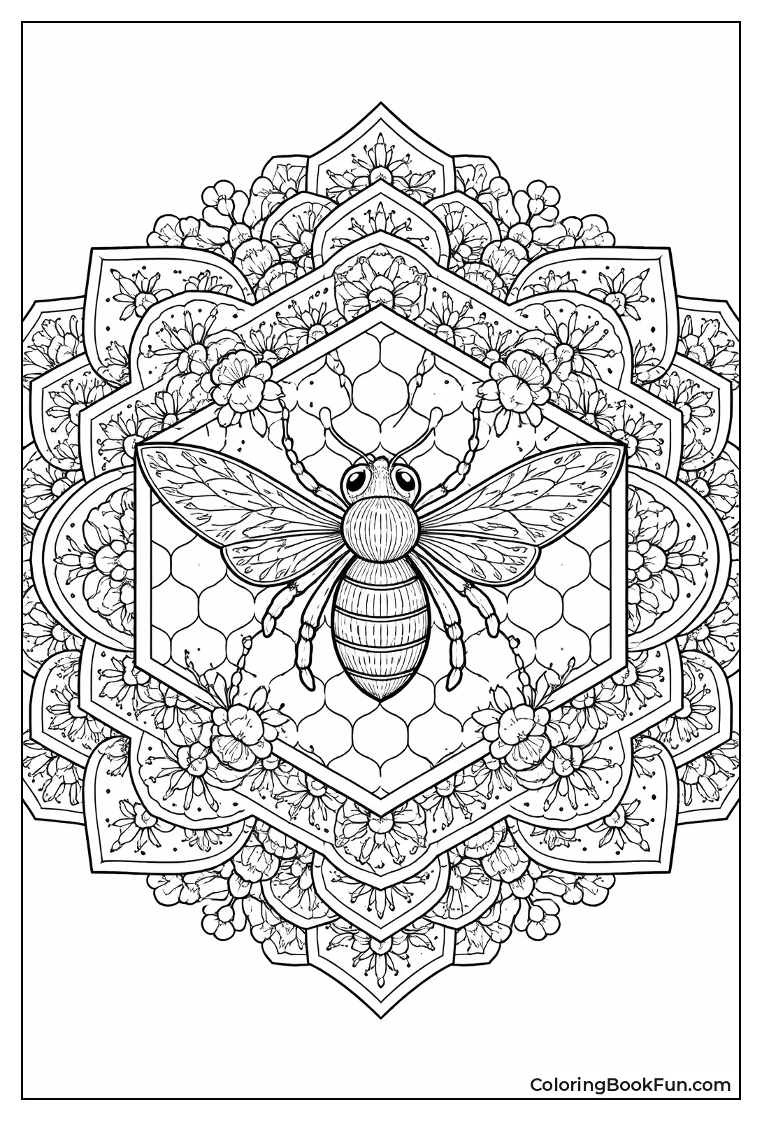 Bee in Honeycomb Layers