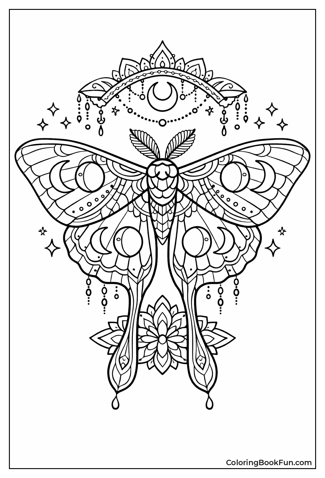 Luna Moth with Moon Wings