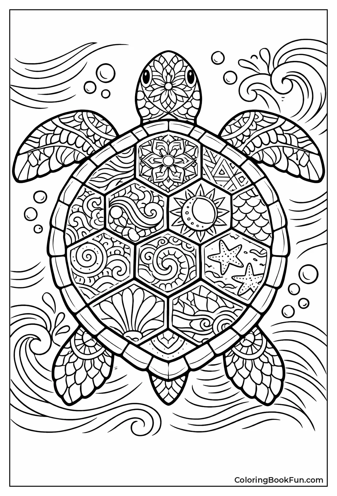 Sea Turtle with Swirl Shell