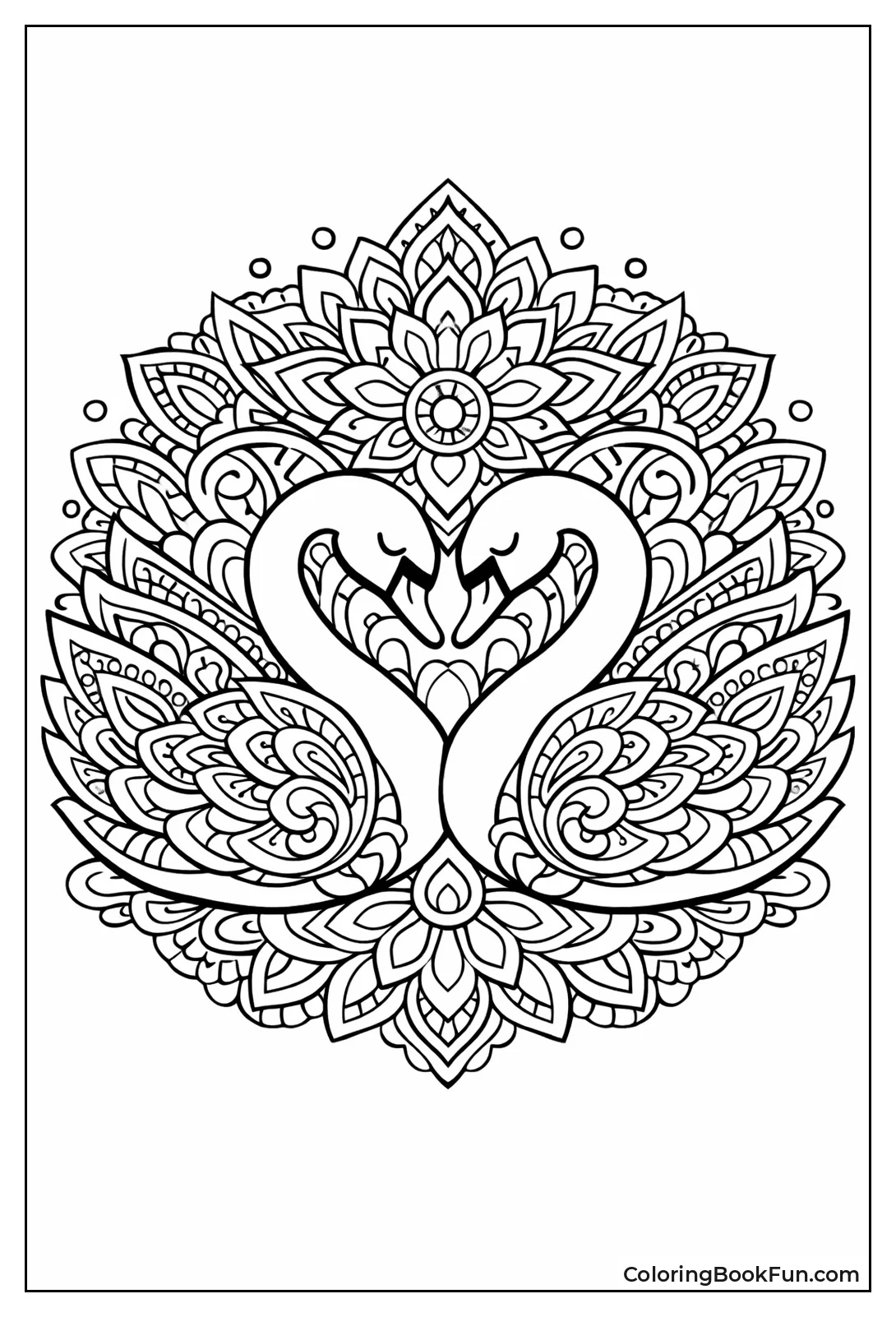 Swans Forming Heart with Feathers