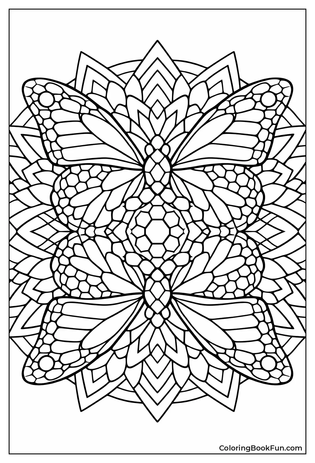 Butterfly Wings in Hexagon Patterns