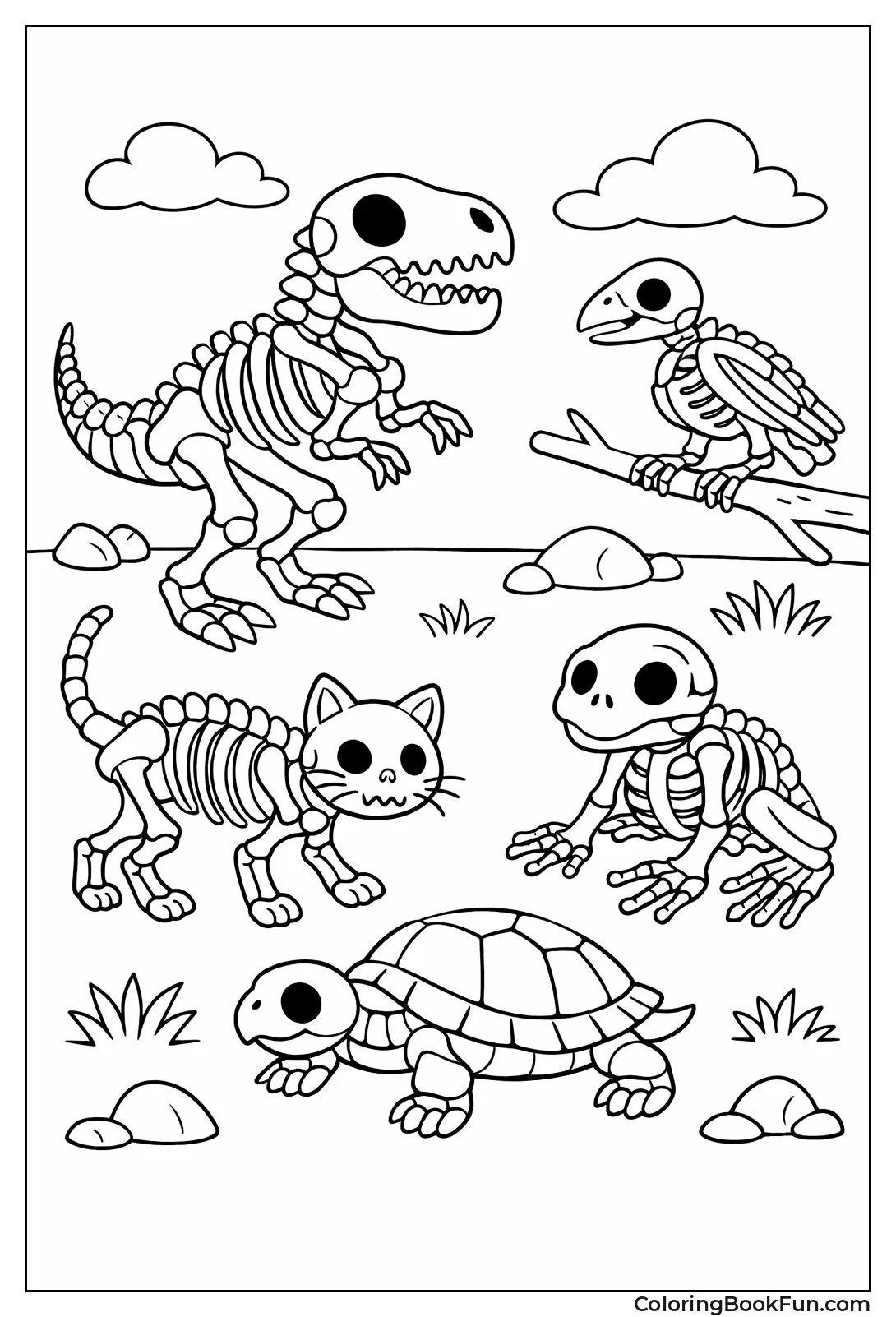 Various Animal Skeletons