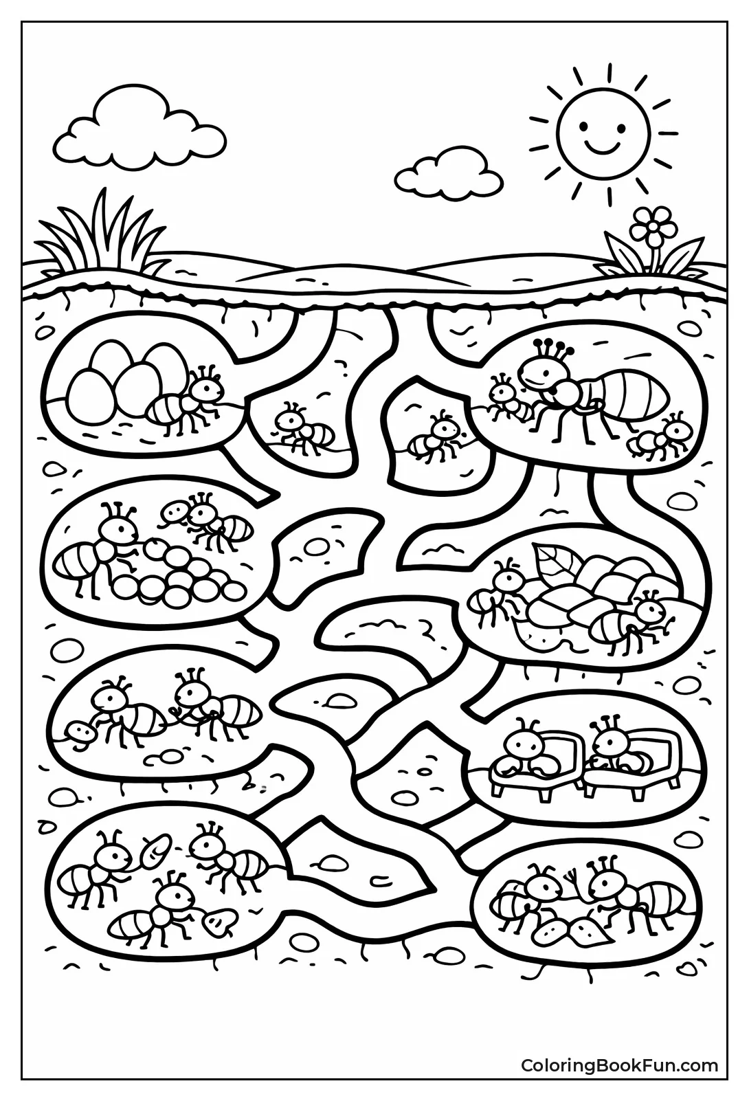 Ant Tunnels Underground Colony