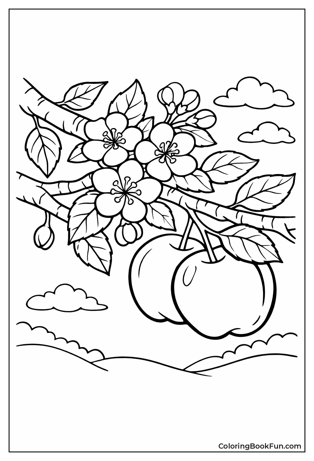 Blossoming Apple Tree Branch