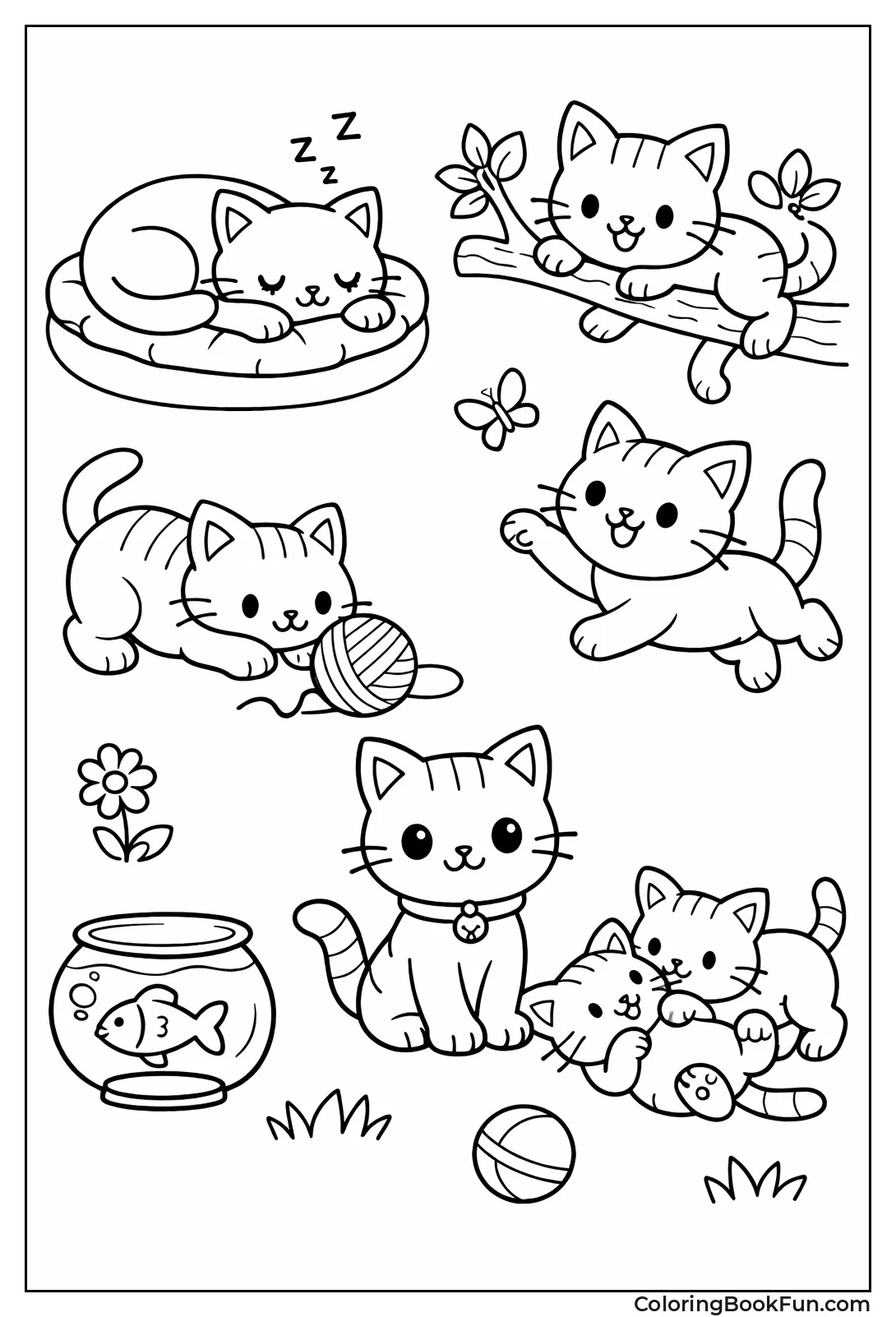 Assorted Cats in Poses