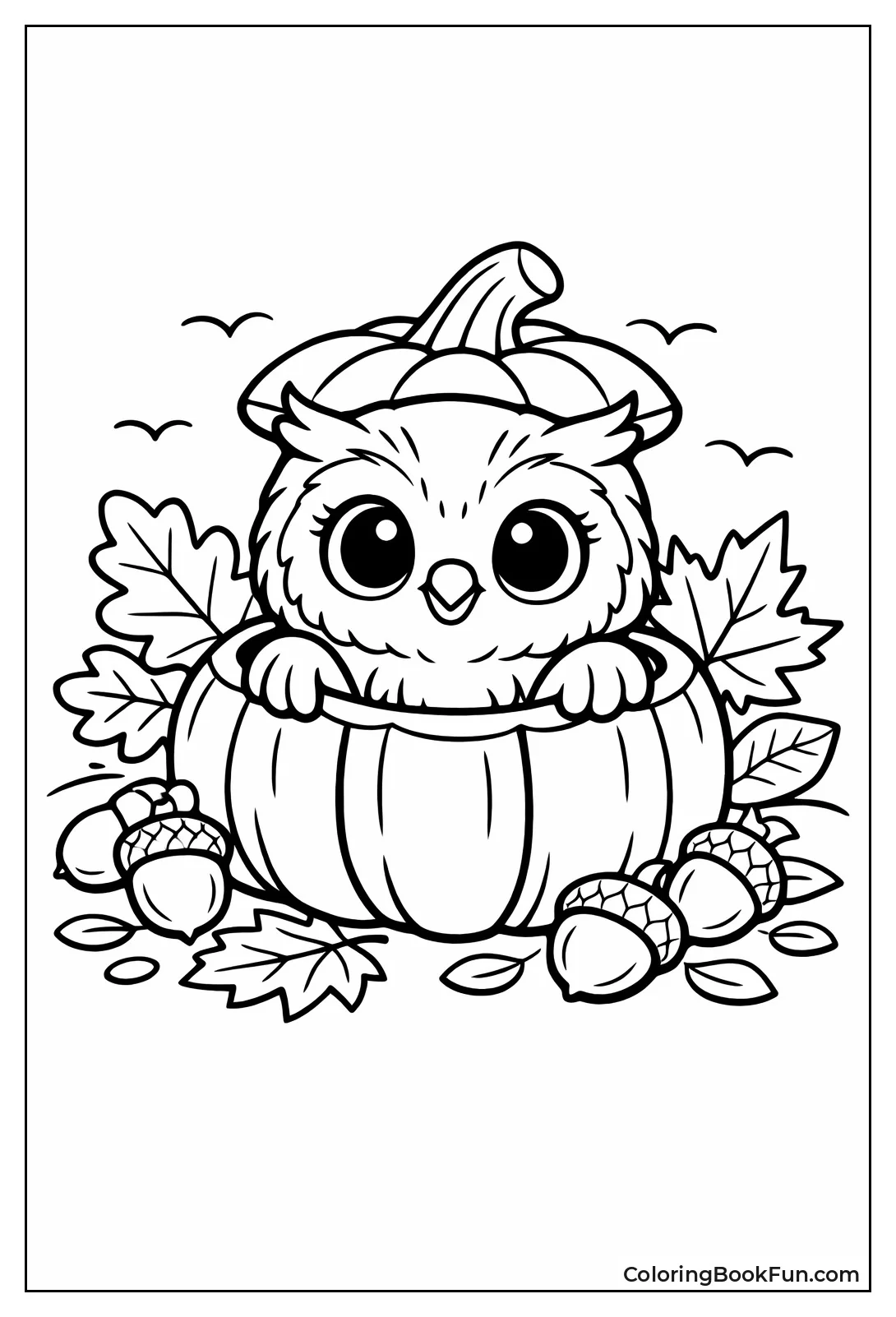 Owl in Pumpkin Patch