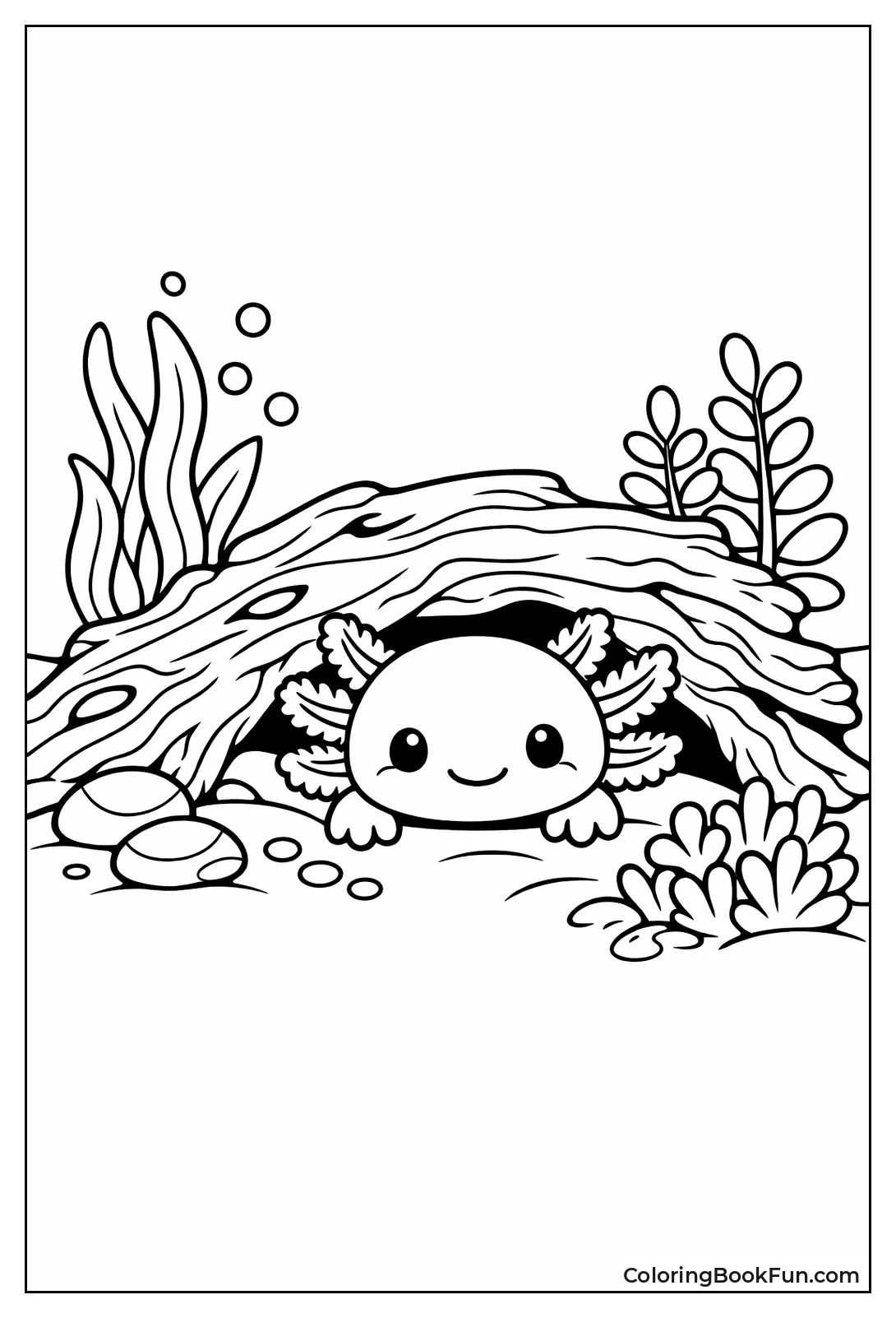 Axolotl Peeks from Driftwood