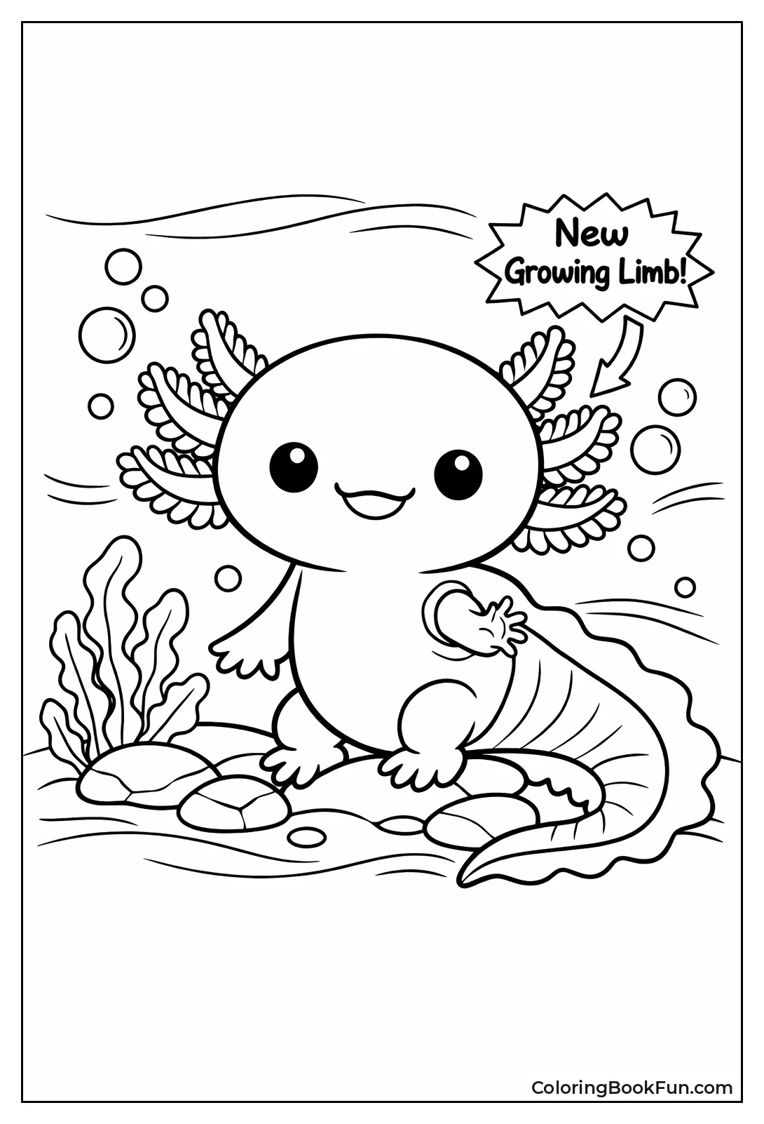 Axolotl Grows New Limb