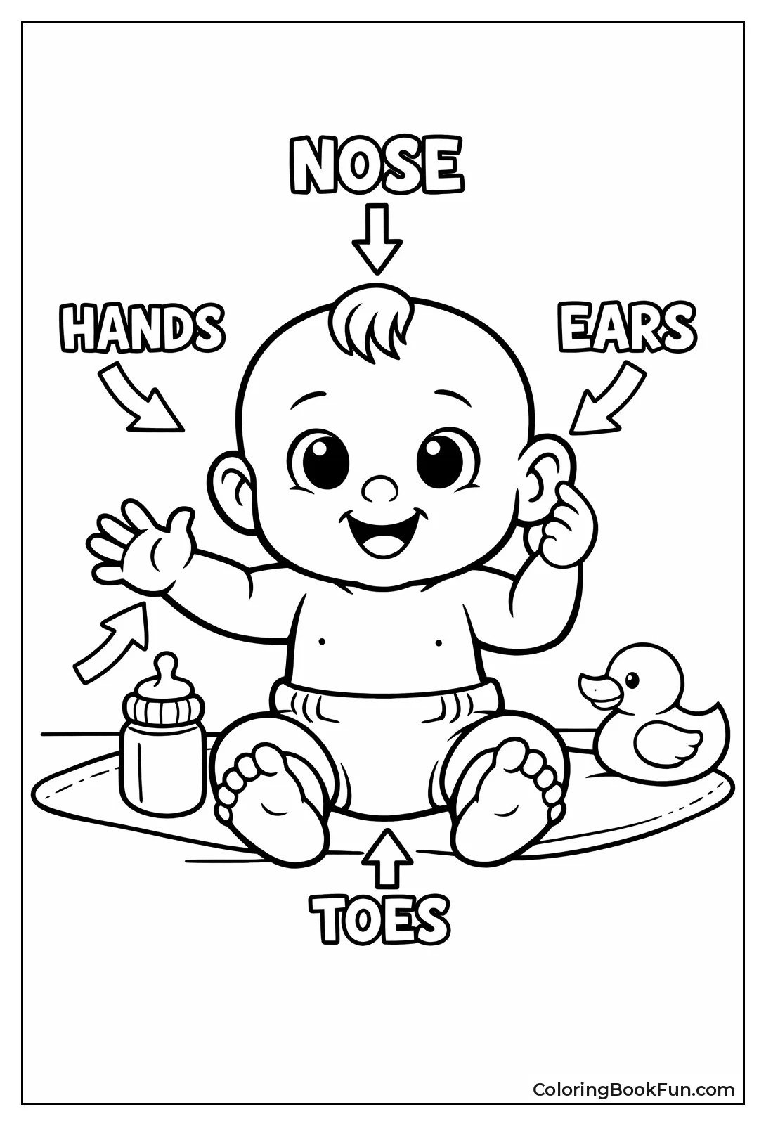 Baby Body Parts Diagram