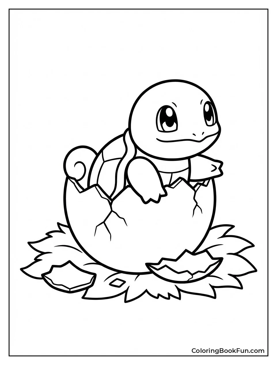 Baby Squirtle Hatching Out