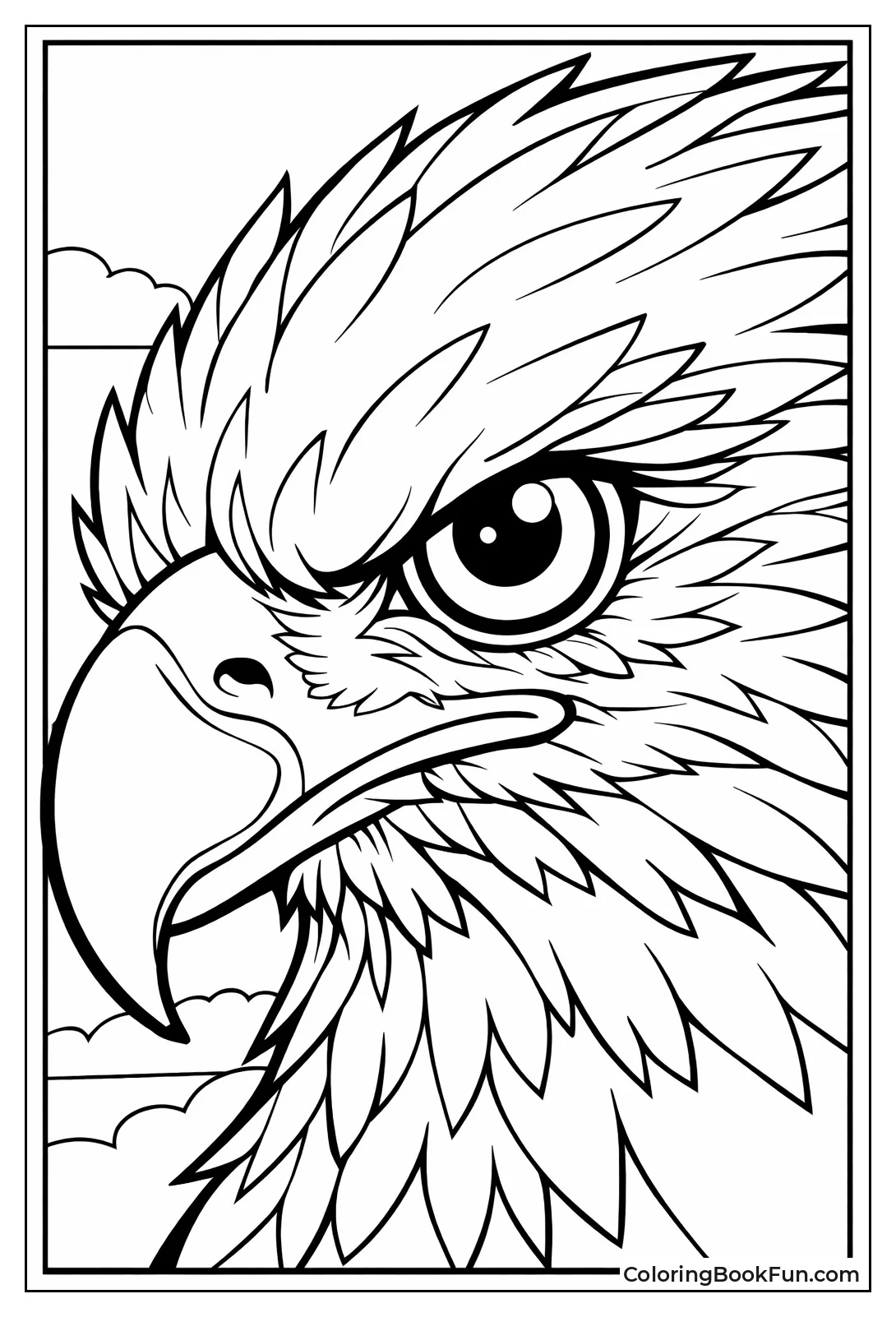 Intense Bald Eagle Eye