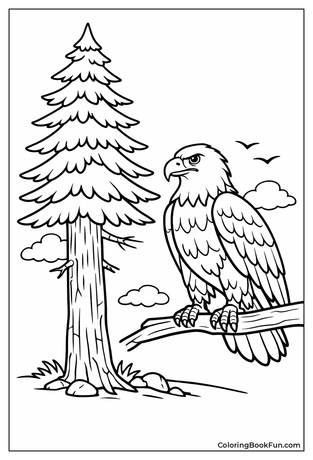 Eagle by Tall Pine Tree