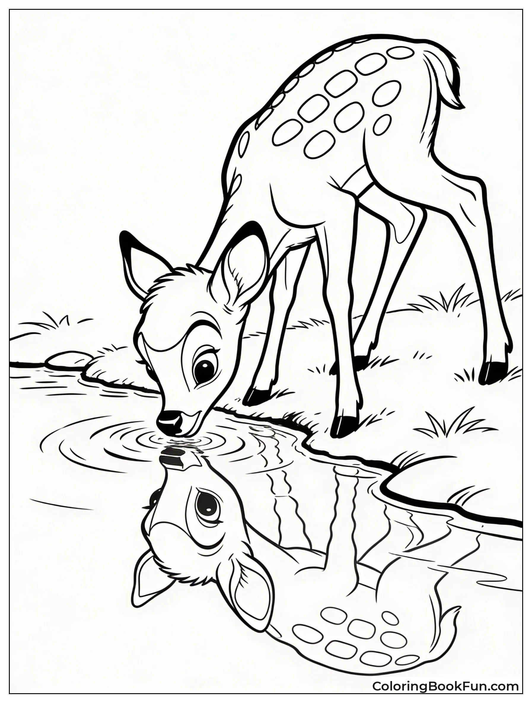 Bambi Sees Stream Reflection