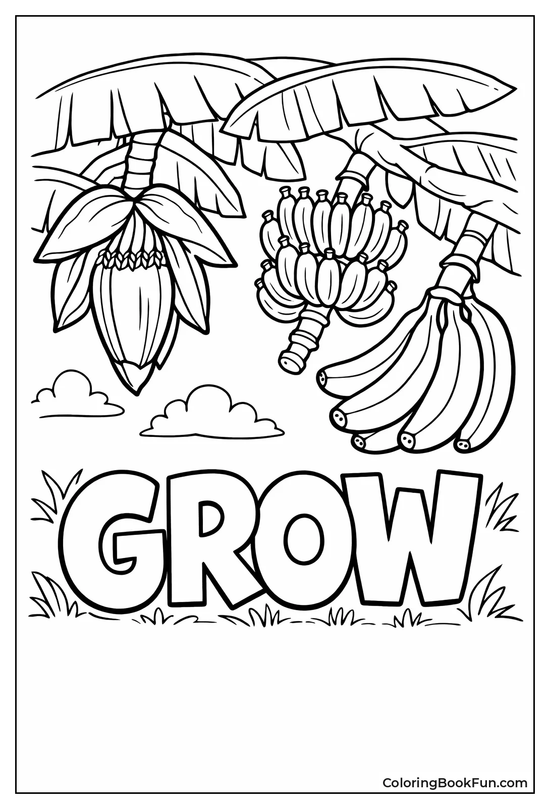 Banana Tree Life Cycle