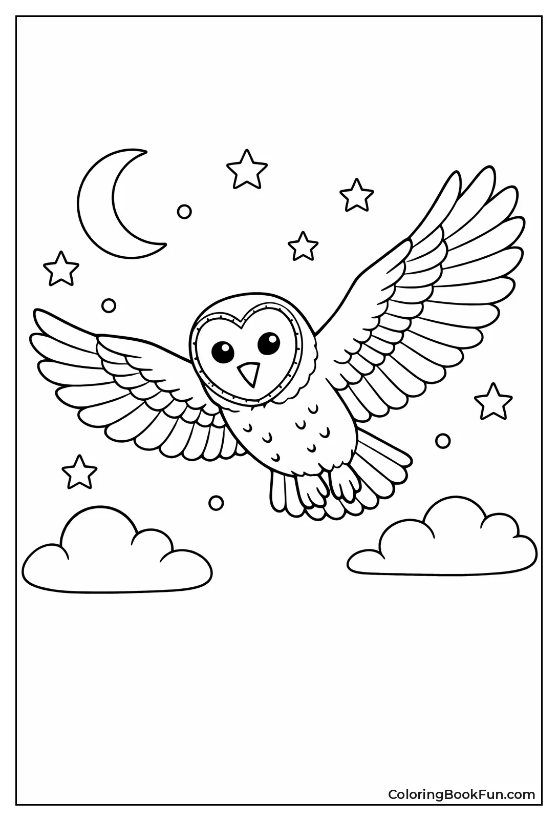 Barn Owl Flies at Night