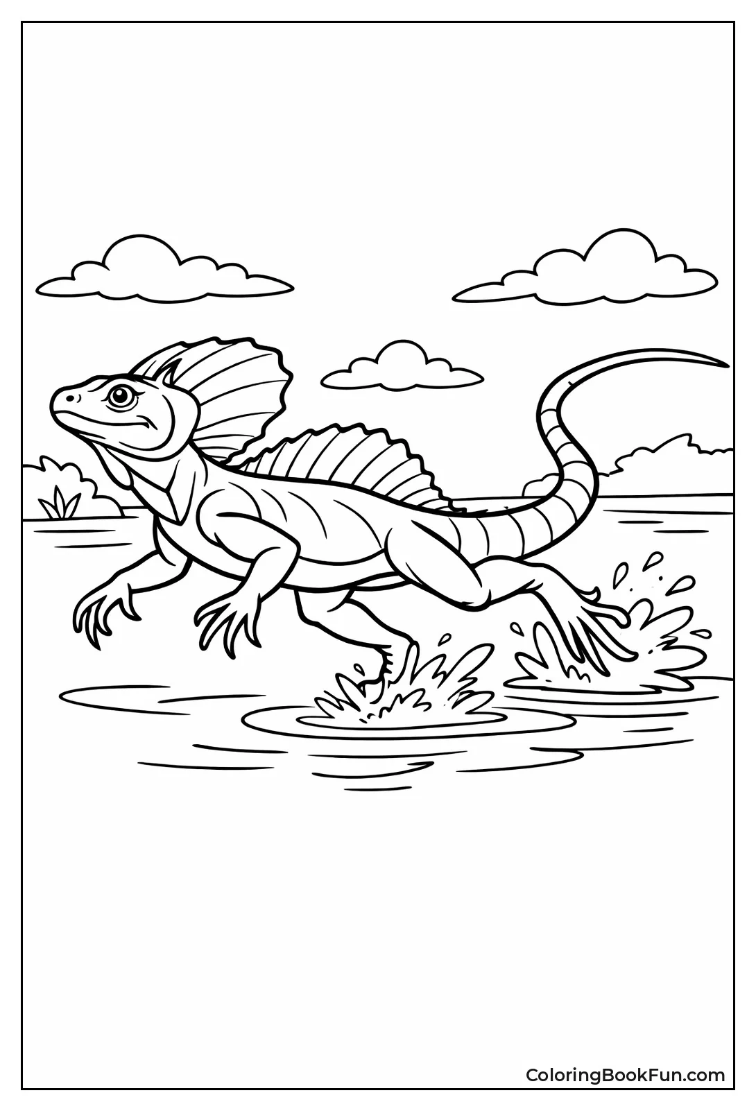 Crested Basilisk Lizard Runs