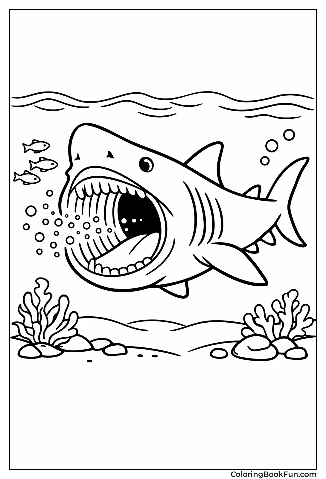 Basking Shark Mouth Open Wide