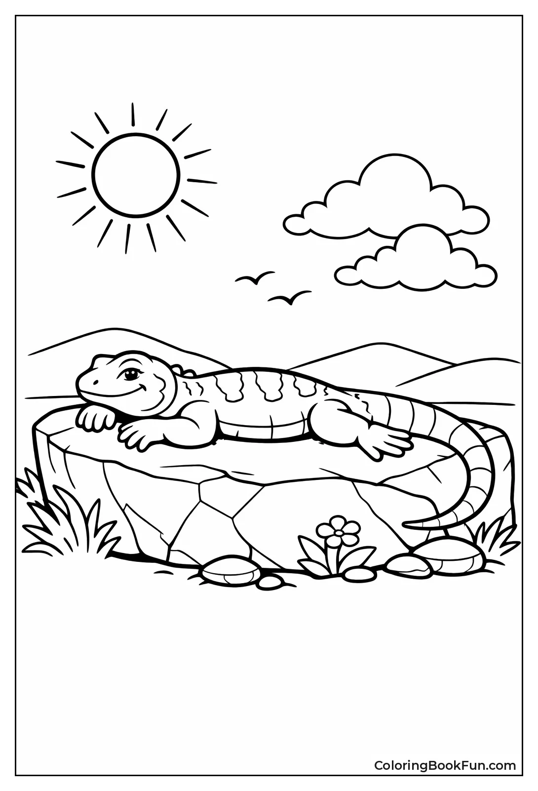 Lizard Suns on Warm Rock