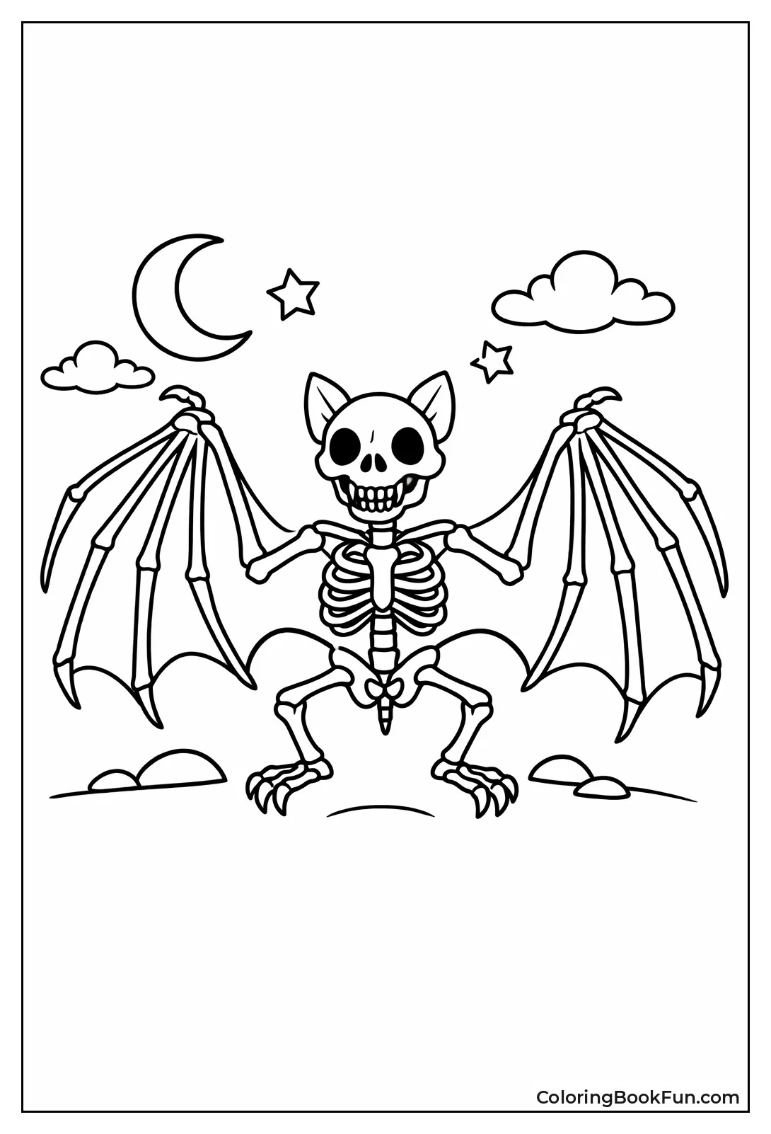 Detailed Bat Skeleton Bones