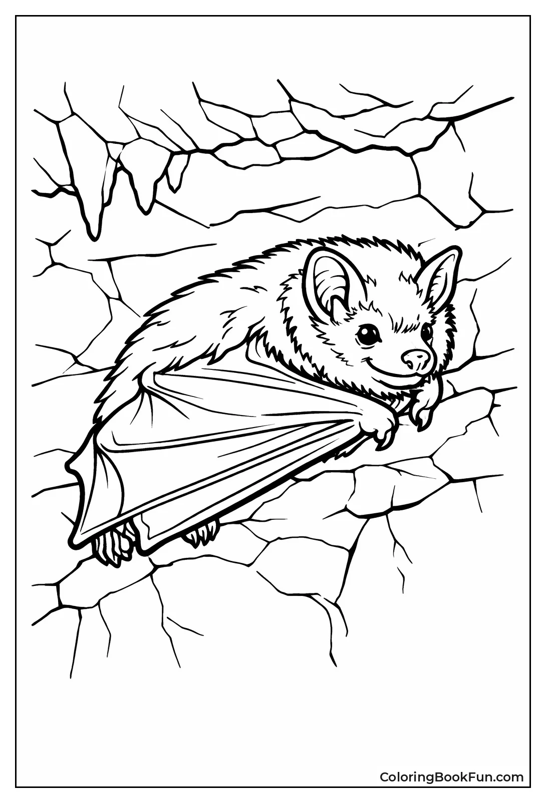 Brown Bat Resting Quietly