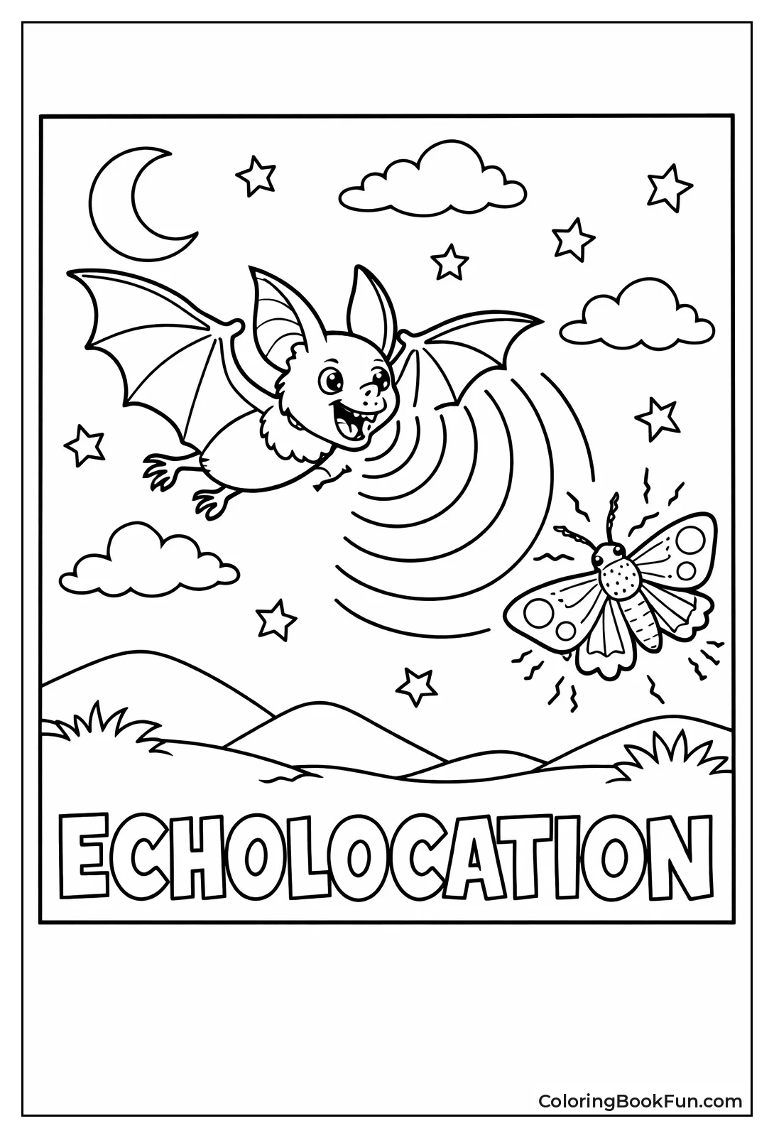 Bat Hunting with Echolocation