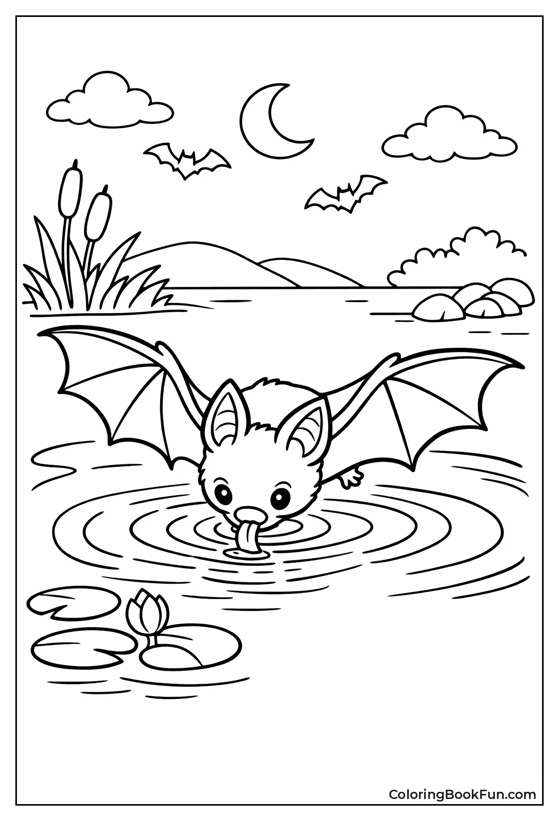 Bat Skimming Pond Water