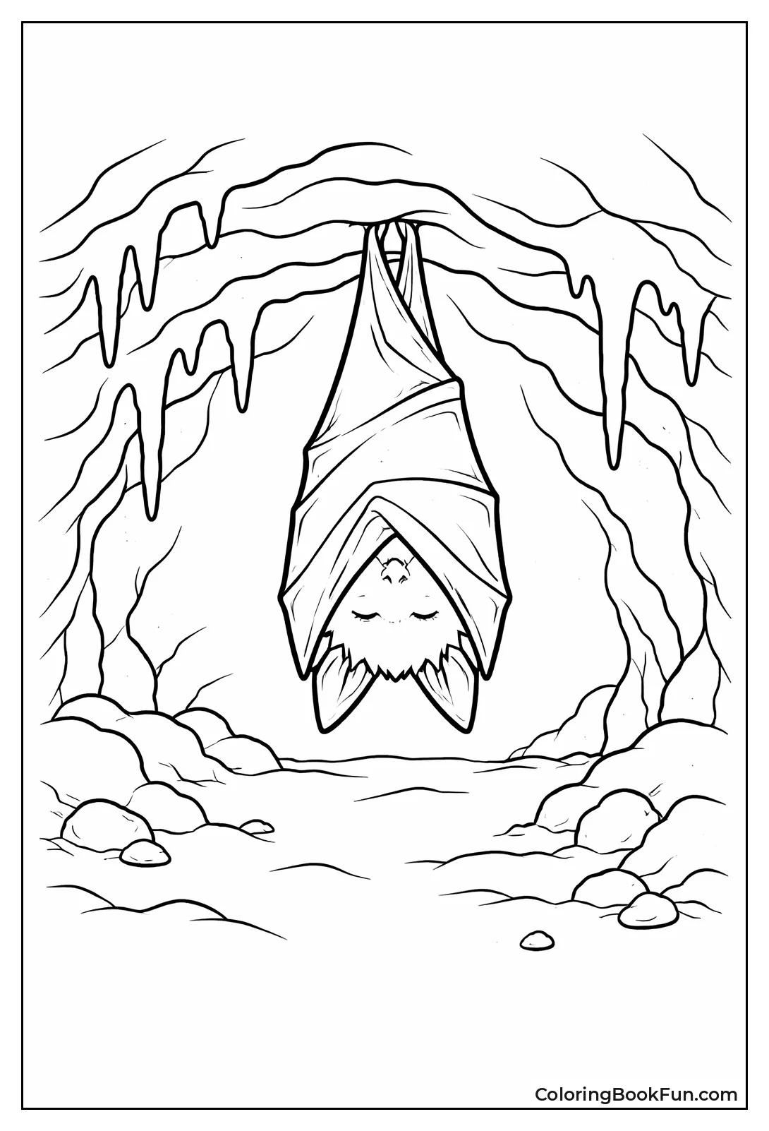 Bat Hibernating in Winter Cave