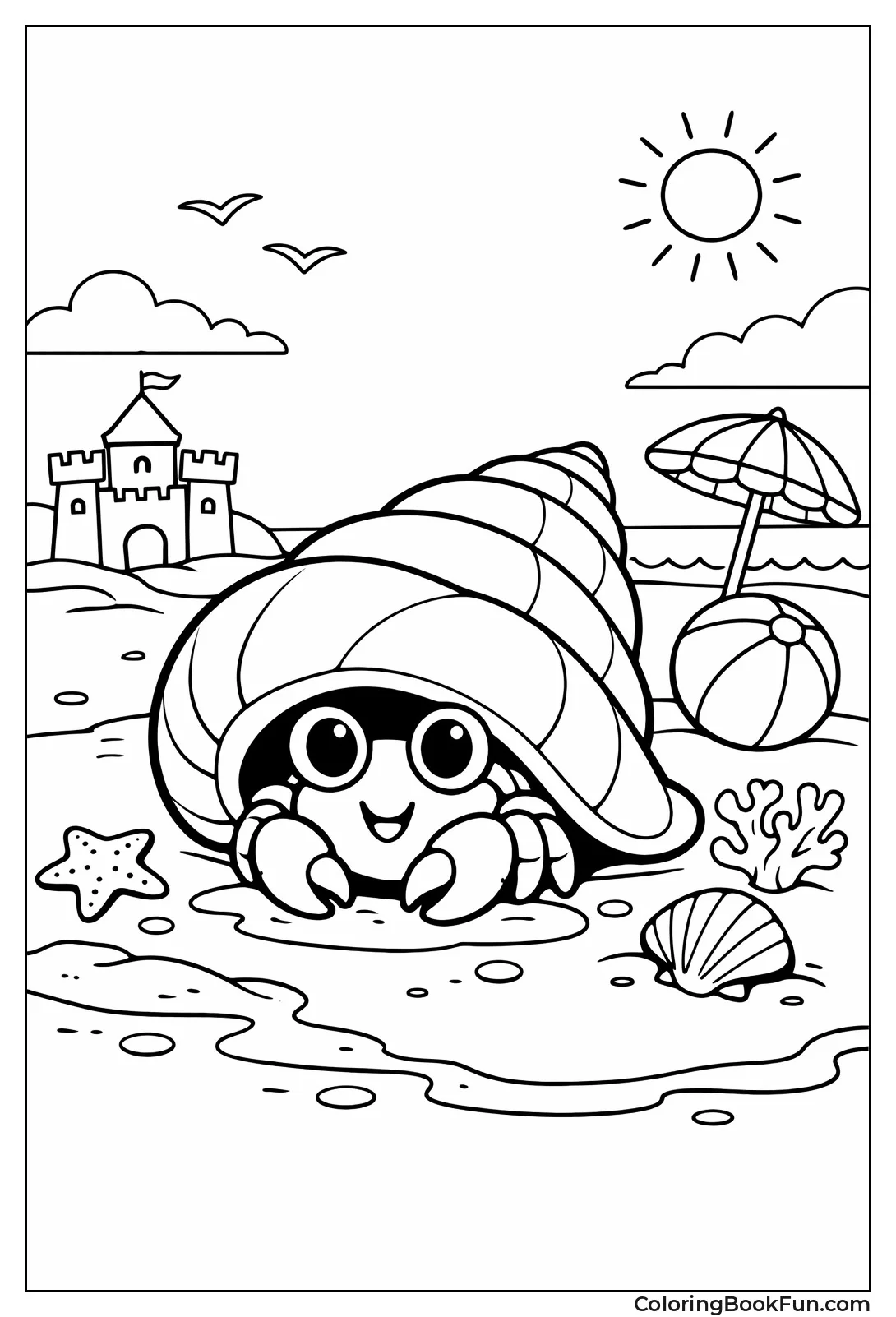 Hermit Crab in Shell