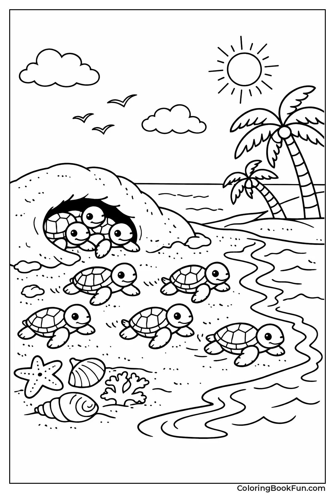 Baby Turtles to Water