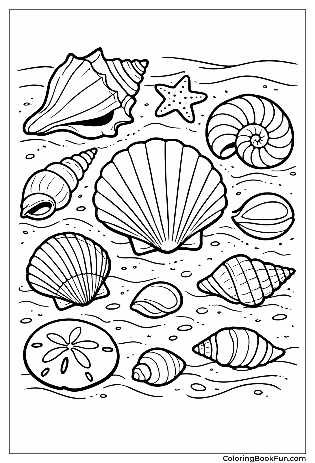 Seashells Scattered on Sand