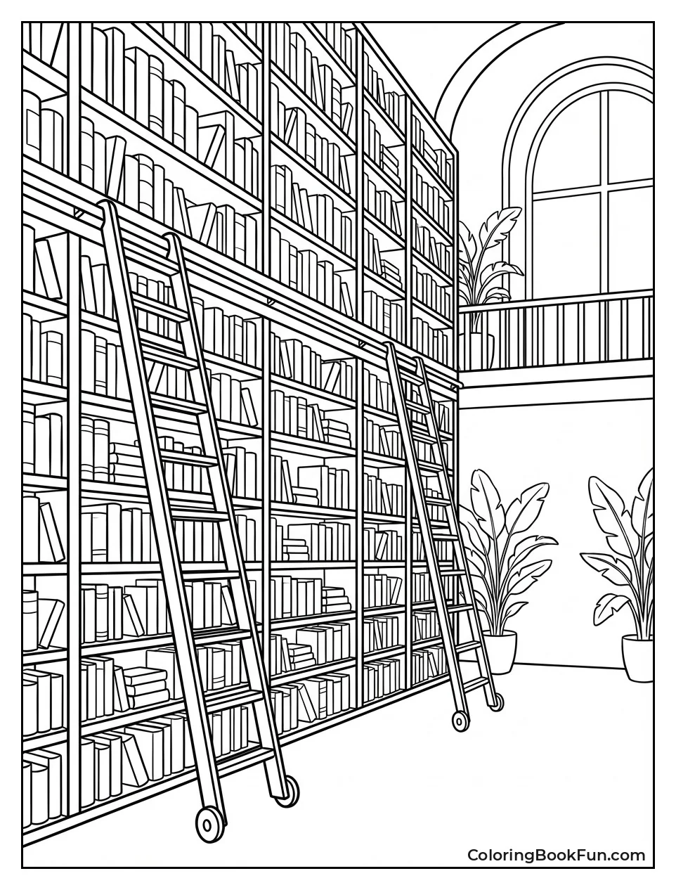 Towering Bookshelves in Library