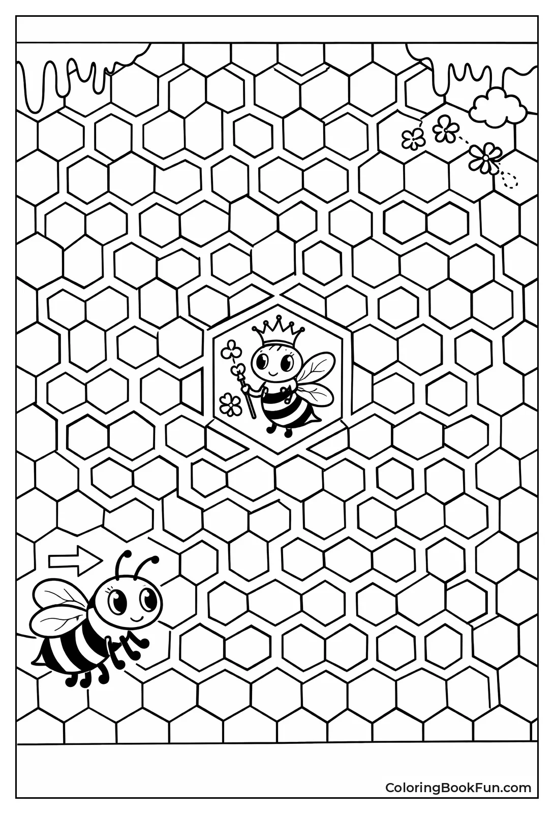 Beehive Hexagon Queen Path
