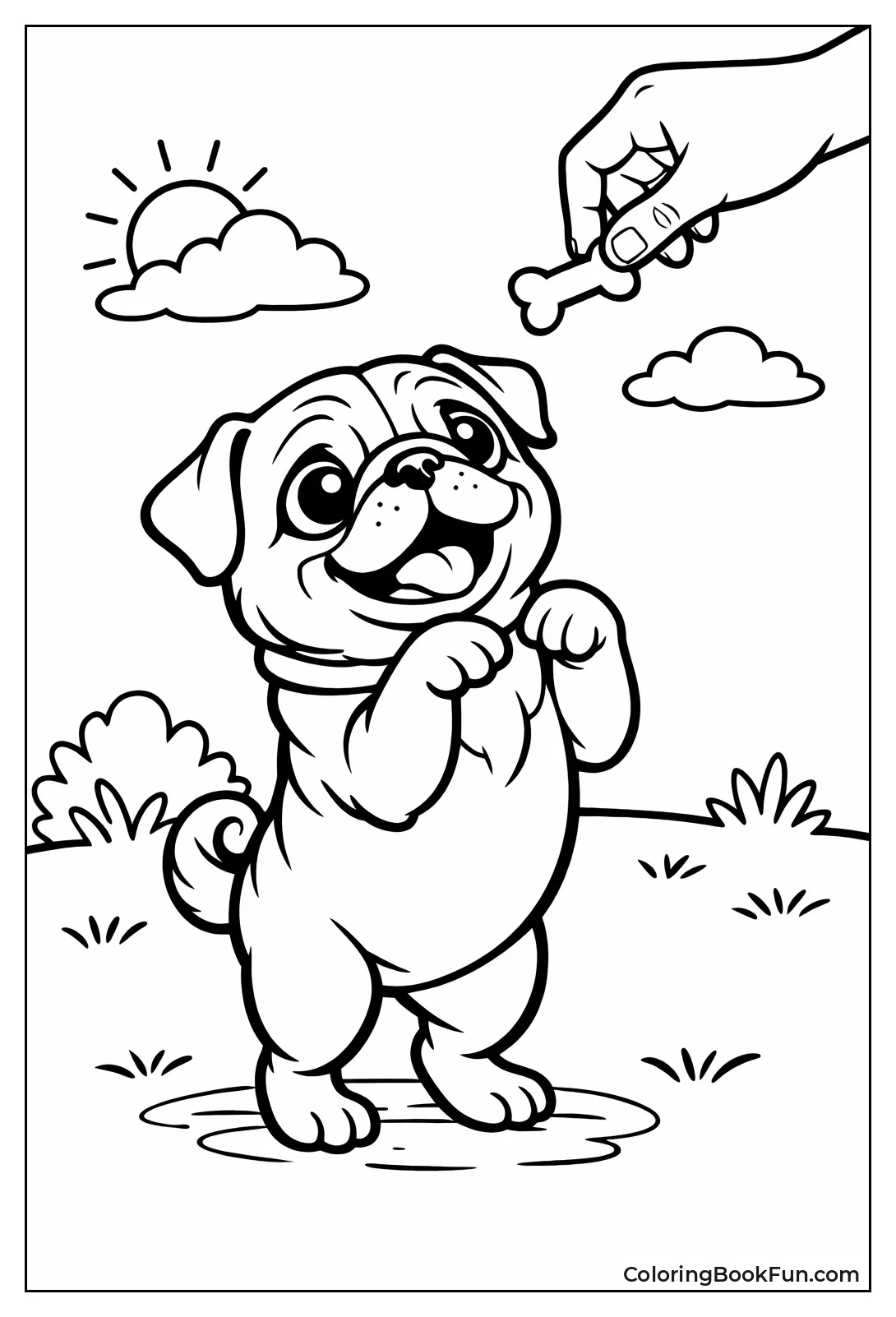 Fawn Pug Begging Treat