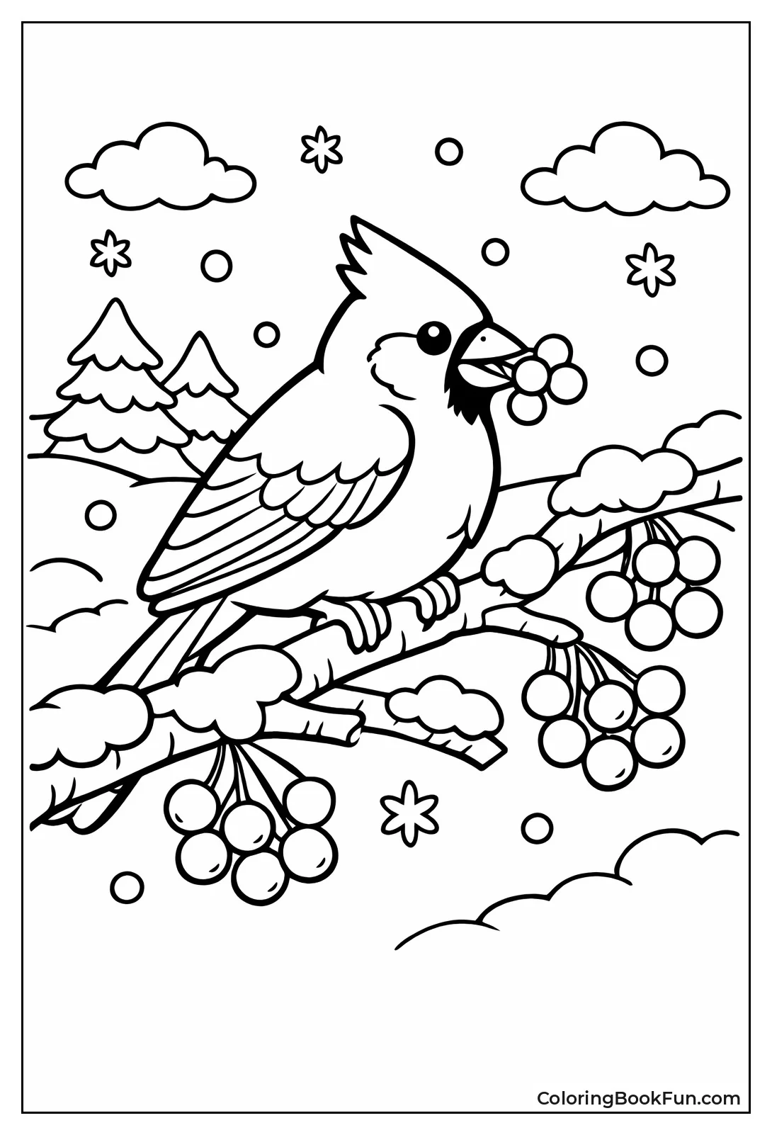 Cardinal Eats Red Berries