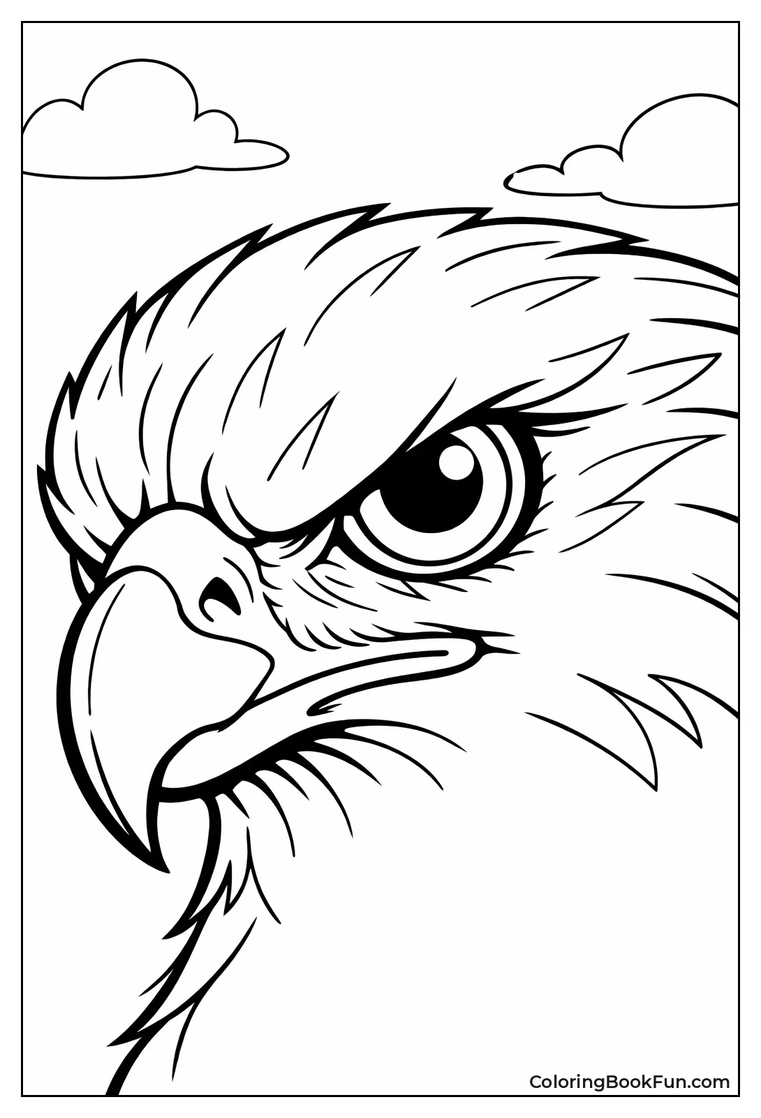 Hawk Stares with Fierce Eyes