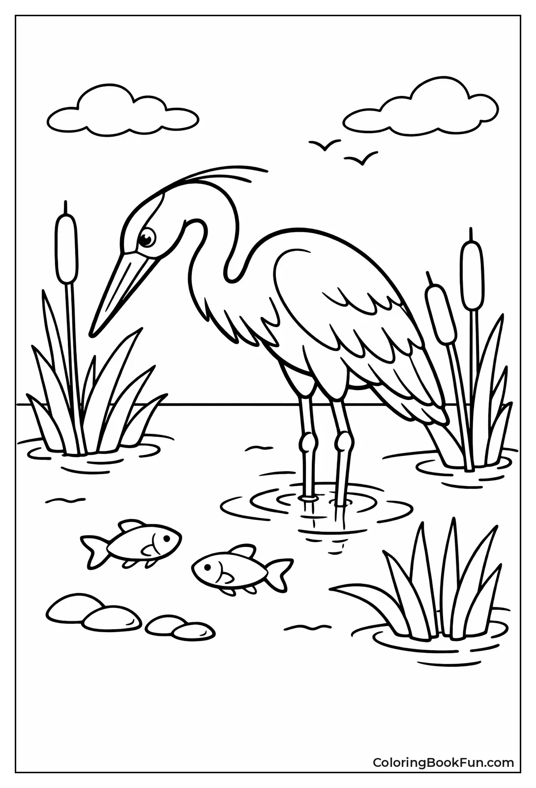 Heron Hunts in Water